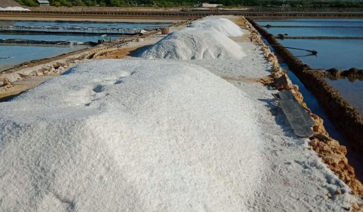 Breaking! Indonesia Akan Hentikan Impor Garam Industri 2027, Ini Faktanya!